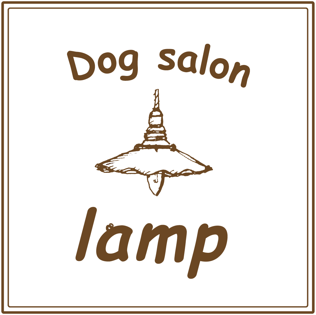Dog salon lamp